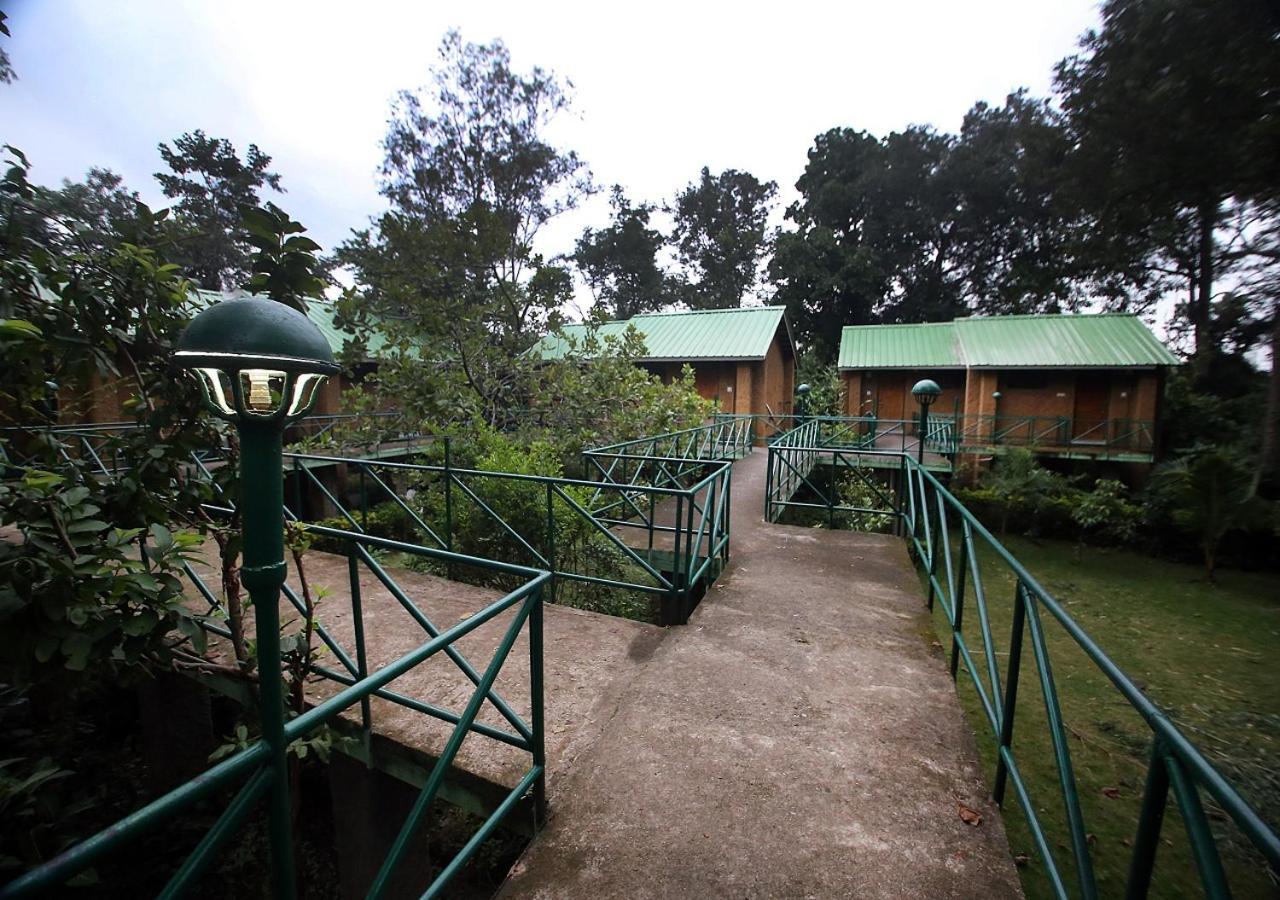 Mpt White Tiger Forest Lodge Tāla Exteriér fotografie